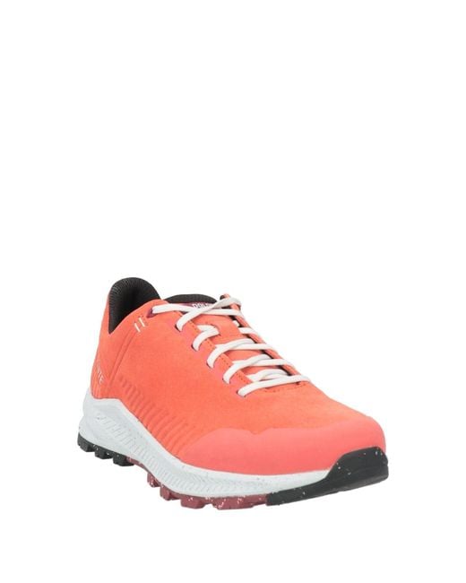 Dolomite Pink Sneakers Leather for men