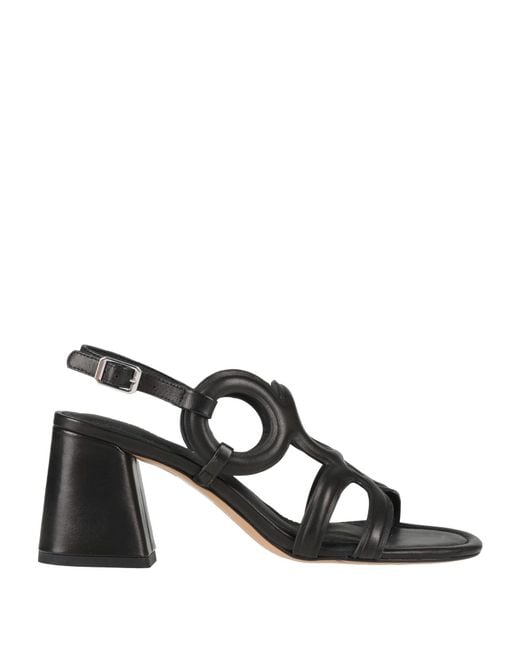 Bruno Premi Black Sandals