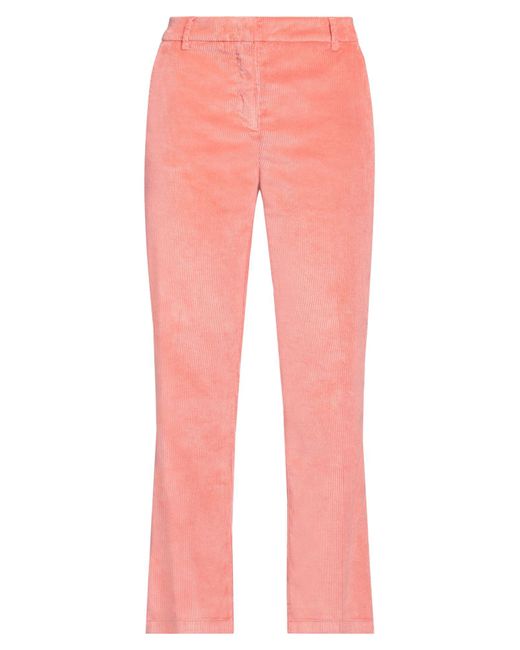 Department 5 Pink Trouser