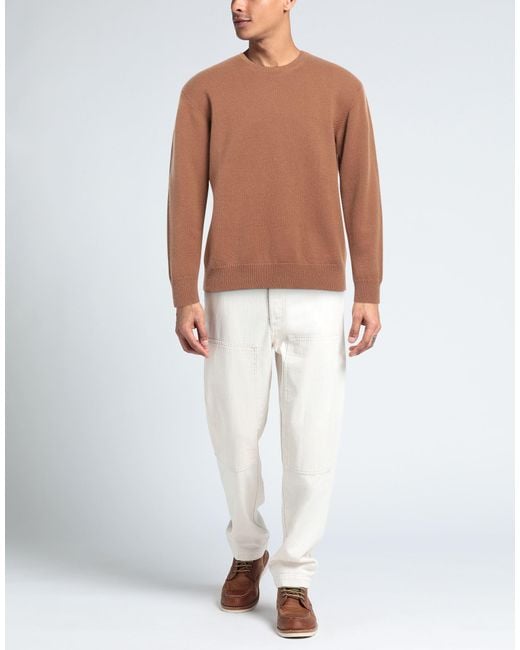 Amaranto Brown Camel Sweater Cashmere for men