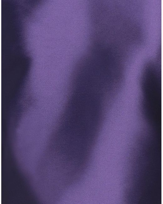 Alberta Ferretti Blue Top