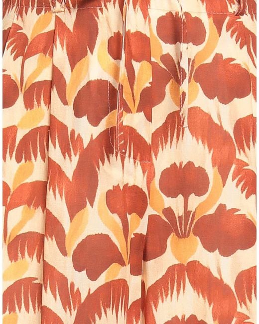 ViCOLO Orange Trouser