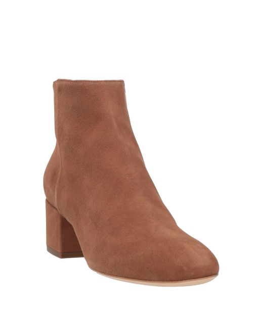 Sergio Rossi Brown Ankle Boots