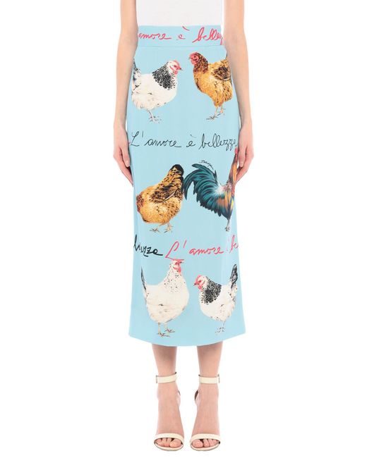 Dolce & Gabbana Blue Maxi Skirts