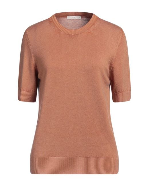 Pullover Circolo 1901 de color Brown