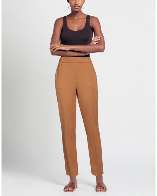 Marella Brown Trouser