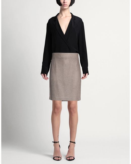 Tagliatore 0205 Gray Midi Skirts