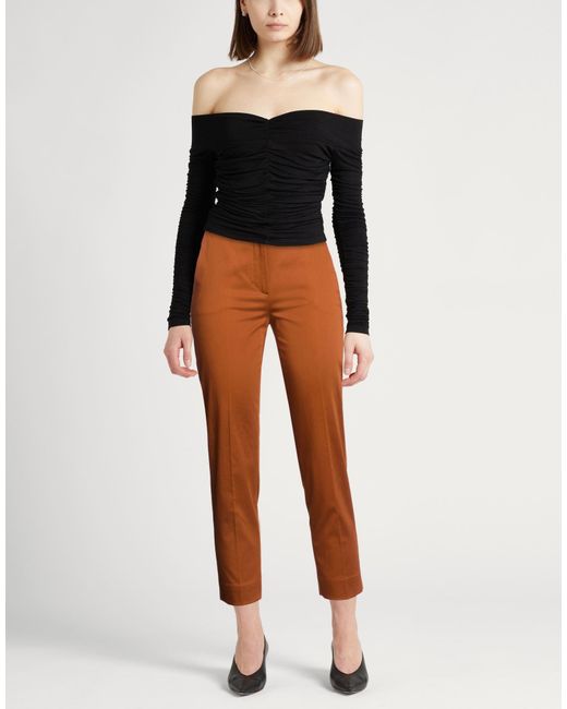 Max Mara Brown Pants Cotton, Elastane