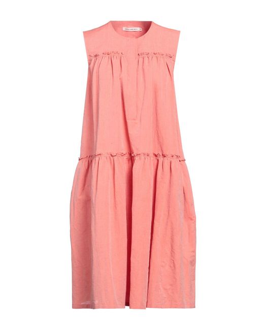 Lis Lareida Pink Midi Dress