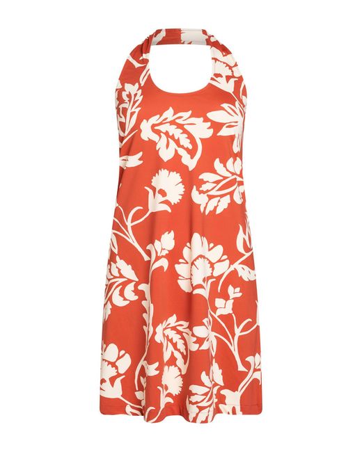 Raffaela D'angelo Red Mini Dress Polyamide, Elastane