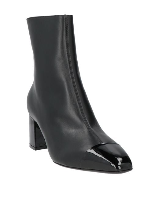Ferragamo Black Ankle Boots Calfskin