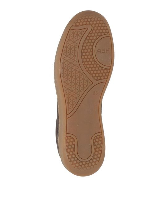 Ash Brown Sneakers Leather
