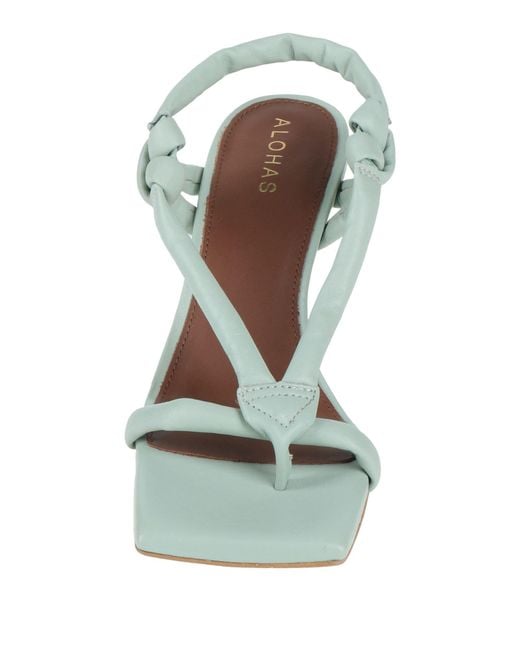 Alohas Metallic Sandals