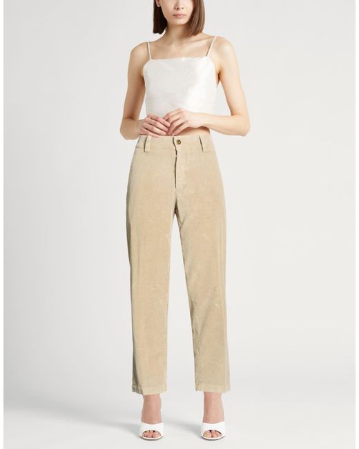 PT Torino Natural Pants Cotton, Elastane