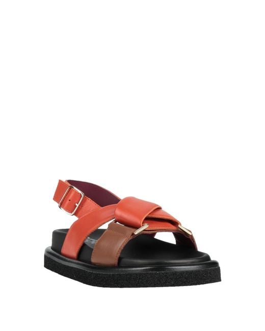 Seboy's Red Sandals