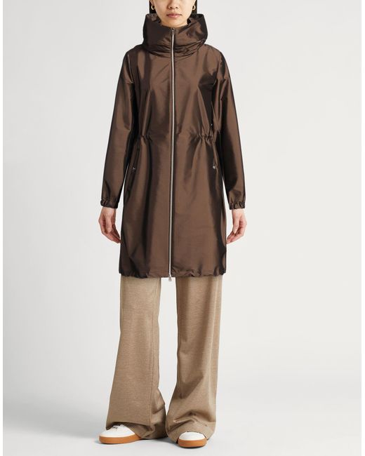 Manteau long et trench Herno en coloris Brown