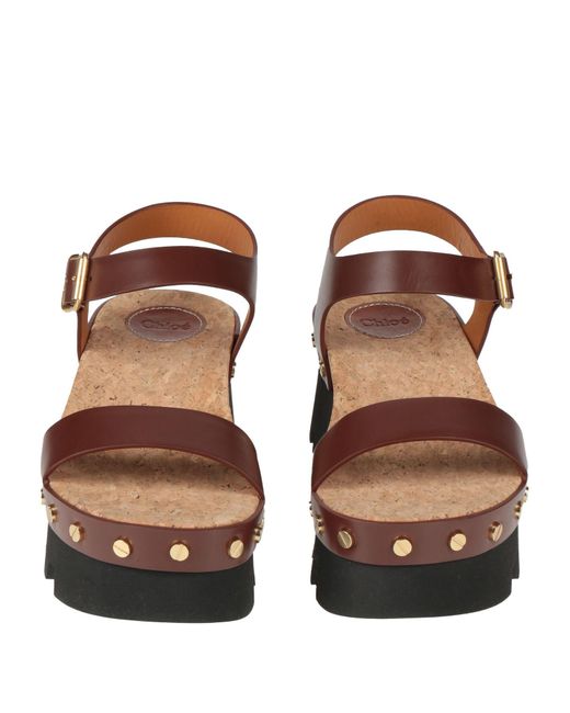 Chloé Brown Sandals