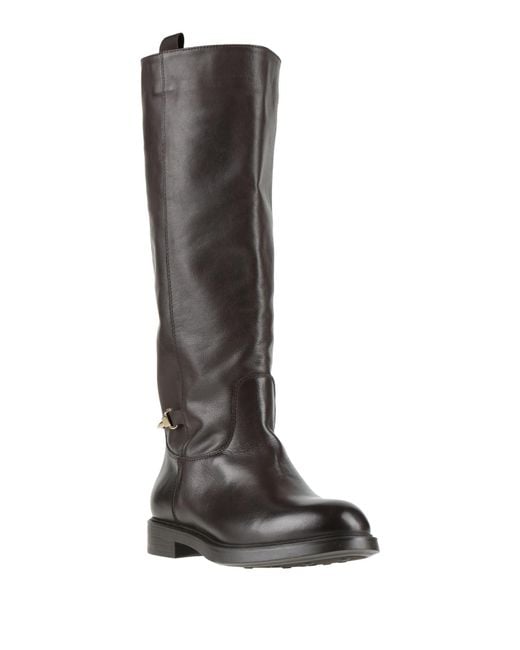 Doucal's Black Boot