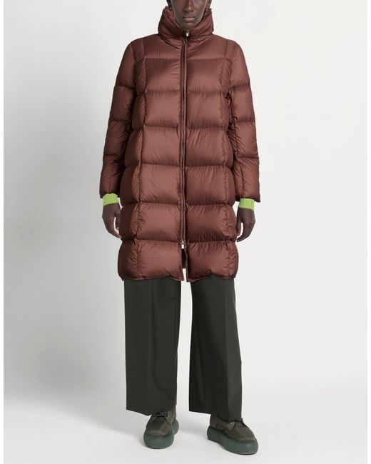 JNBY Brown Puffers