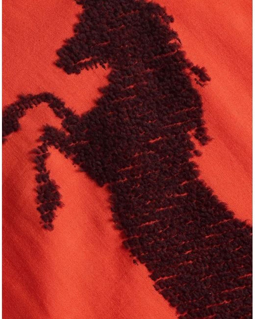 Sciarpa di Chloé in Red