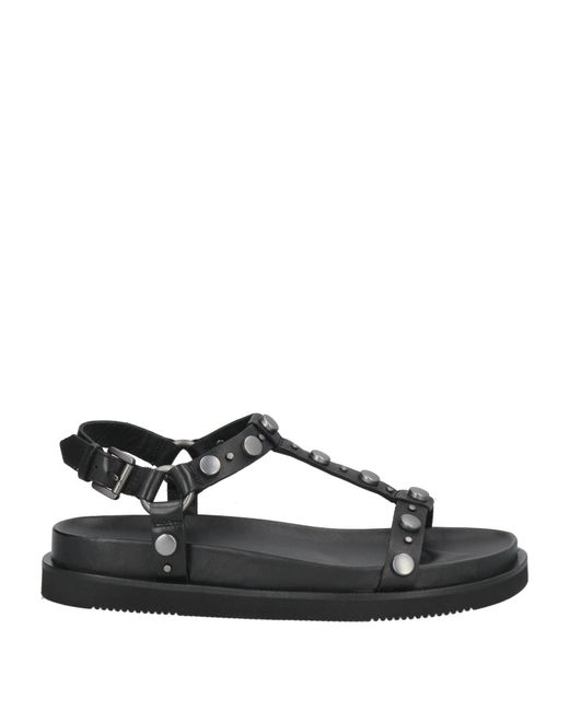Ash Black Sandals