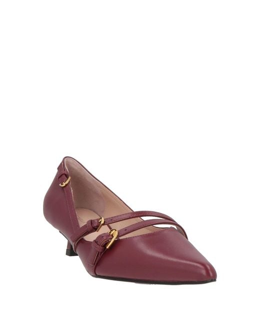 Coccinelle Purple Pumps