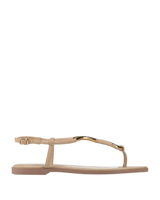 Sergio Rossi Natural Thong Sandal