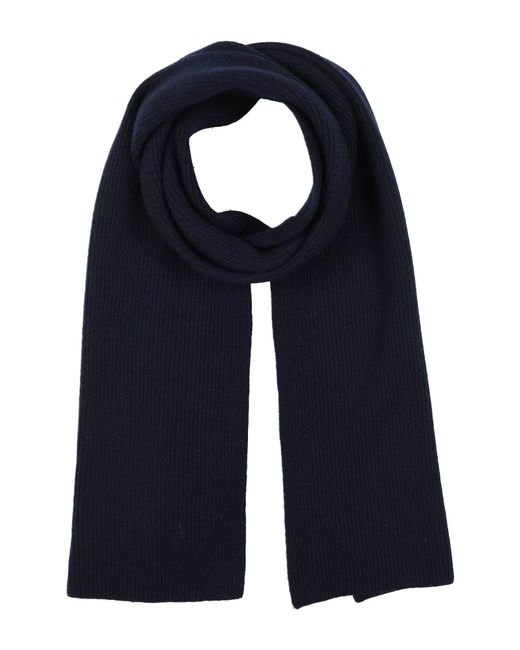 Alpha Studio Schal in Blue für Herren