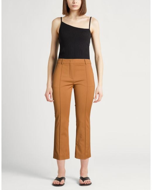 Sportmax Brown Pants Cotton, Polyamide, Elastane