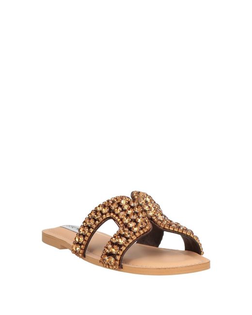 Steve Madden Brown Sandals