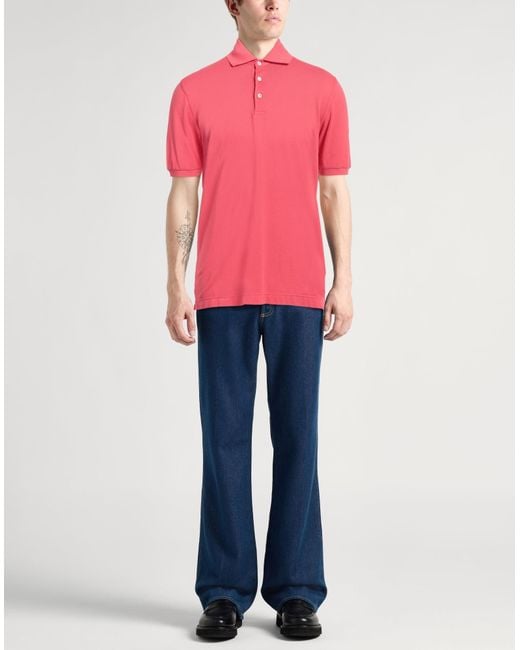 Polo Fedeli de hombre de color Pink