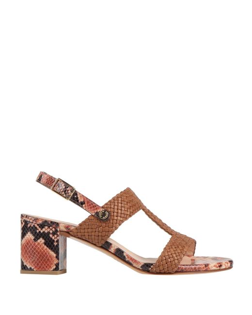 Albano Brown Sandals