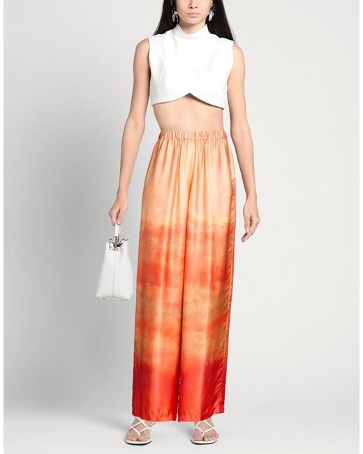 Pomandère Orange Pants
