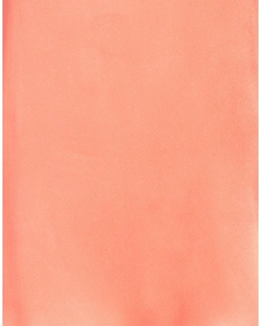 Caractere Pink Top