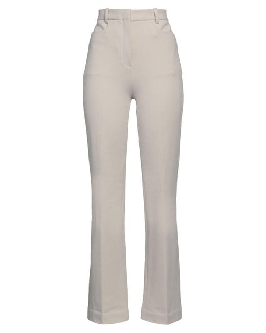 Circolo 1901 Gray Trouser