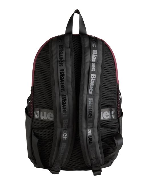Blauer Purple Backpacks for men