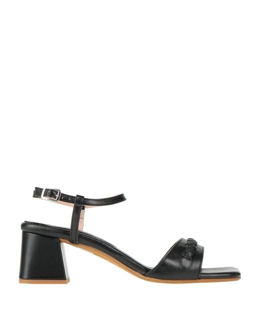 Loretta Pettinari Black Sandals