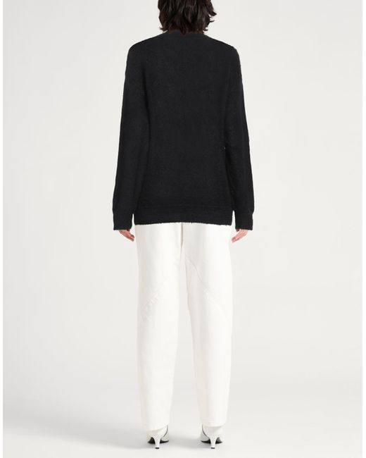 Alberta Ferretti Black Pullover