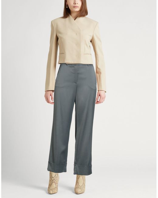 Peserico Gray Trouser