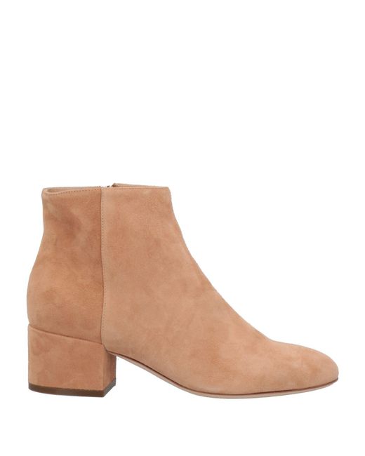 Sergio Rossi Brown Ankle Boots
