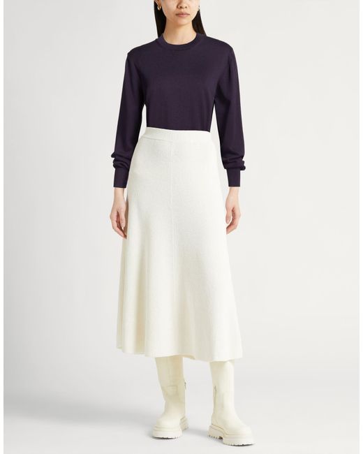 Daniele Fiesoli Blue Sweaters