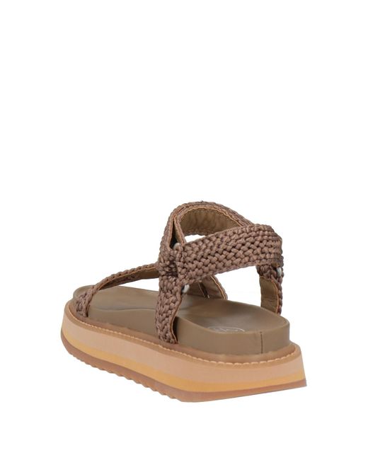 Ash Brown Sandals