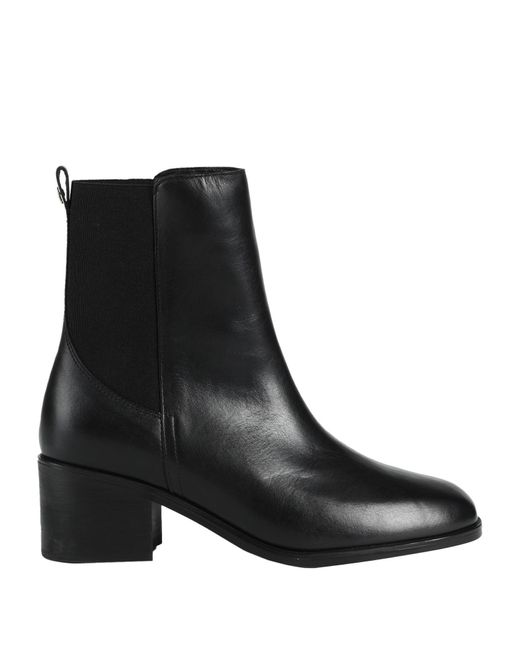 Tommy Hilfiger Black Ankle Boots