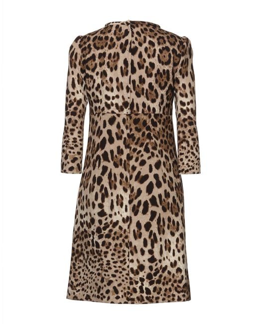 Dolce & Gabbana Brown Sand Mini Dress Wool