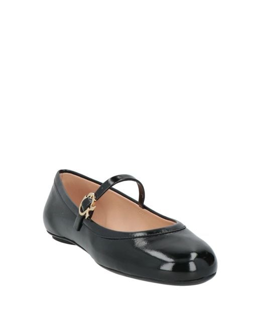 Ballerines Gianvito Rossi en coloris Black