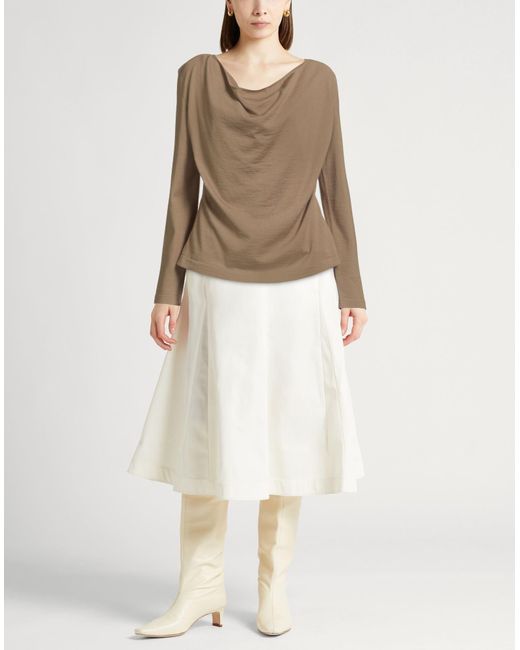 Pullover di Alberta Ferretti in Brown