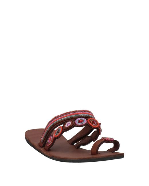 Aspiga Brown Thong Sandal