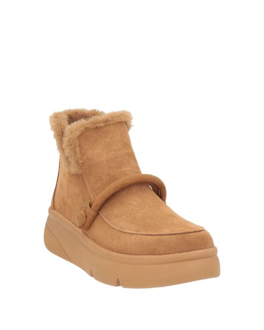 Scholl Brown Stiefelette