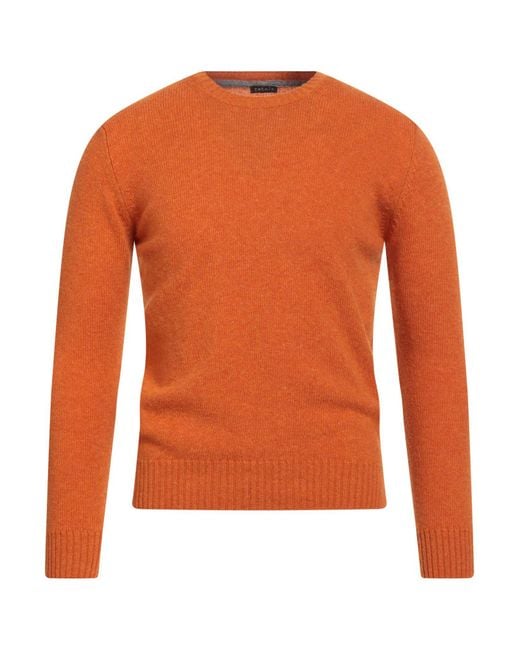 Retois Orange Sweater for men