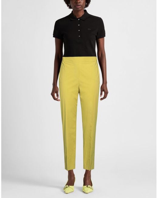Antonelli Yellow Trouser